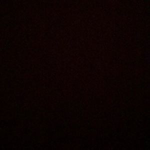 Meet your Posher, Beatriz